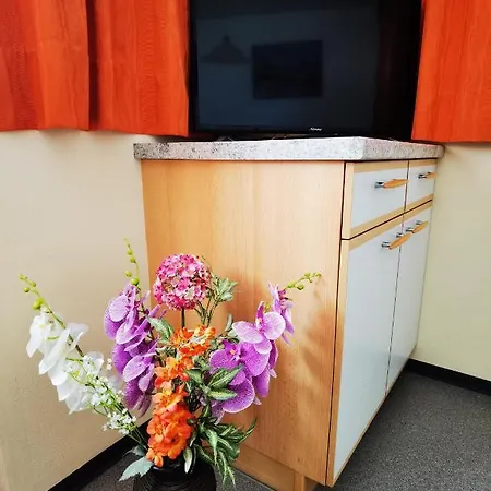 Scherl Pettneu am Arlberg