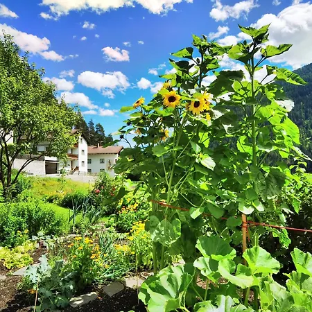 Gaestehaus Scherl 3* פרטנאו