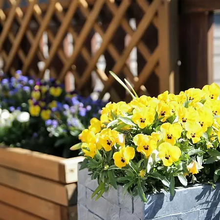 Gaestehaus Scherl פרטנאו