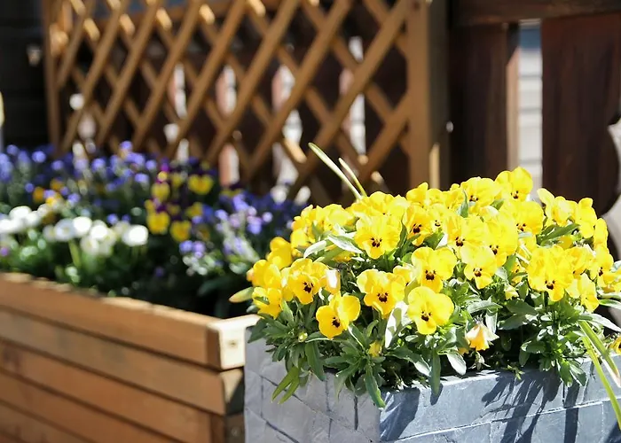 Gaestehaus Scherl بيتنيو آم أرلبرغ